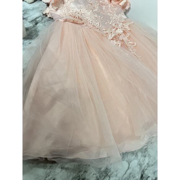 Trish Scully Size 7 Bianca Gown Satin Dress Tulle Lace 3D Floral Peachy Pink - Picture 11 of 11